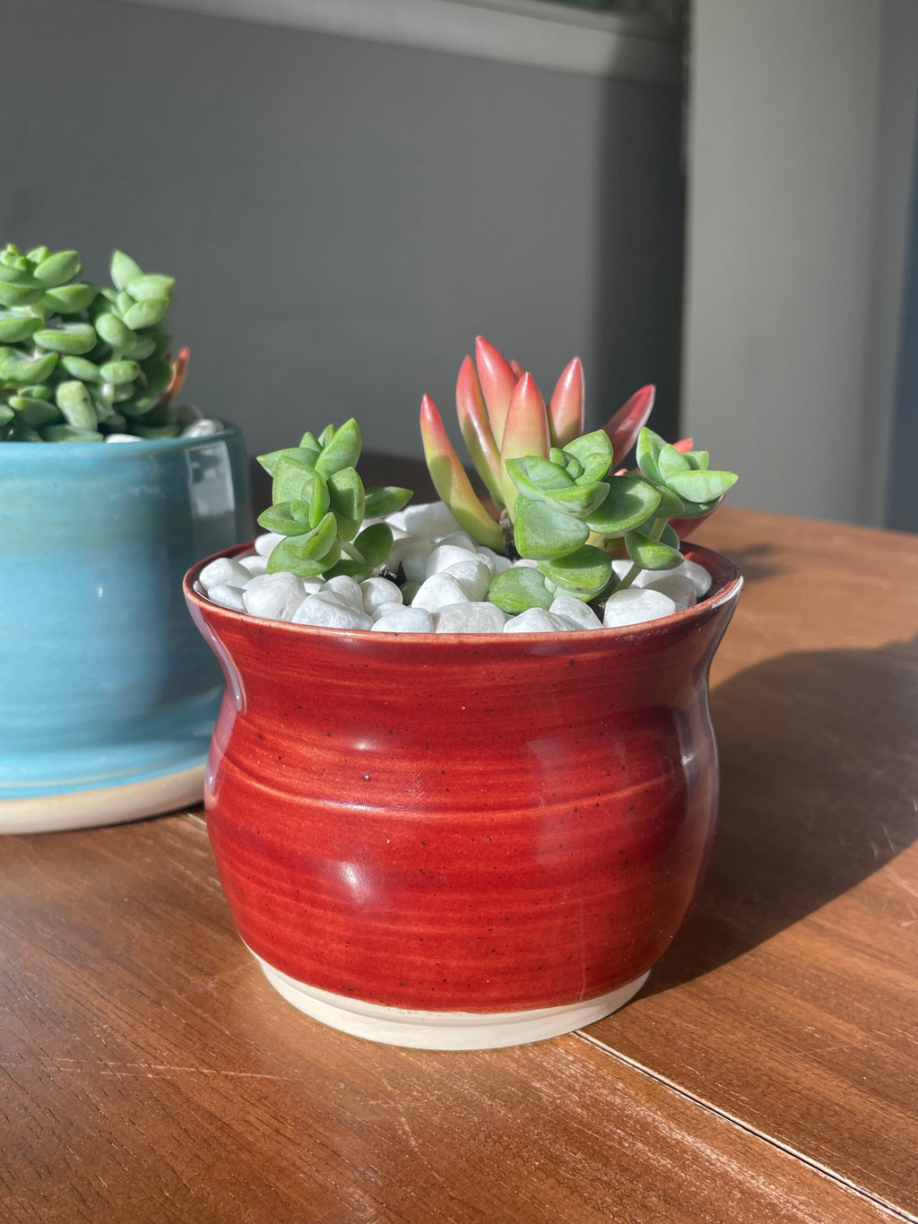 Red Succulent Pot