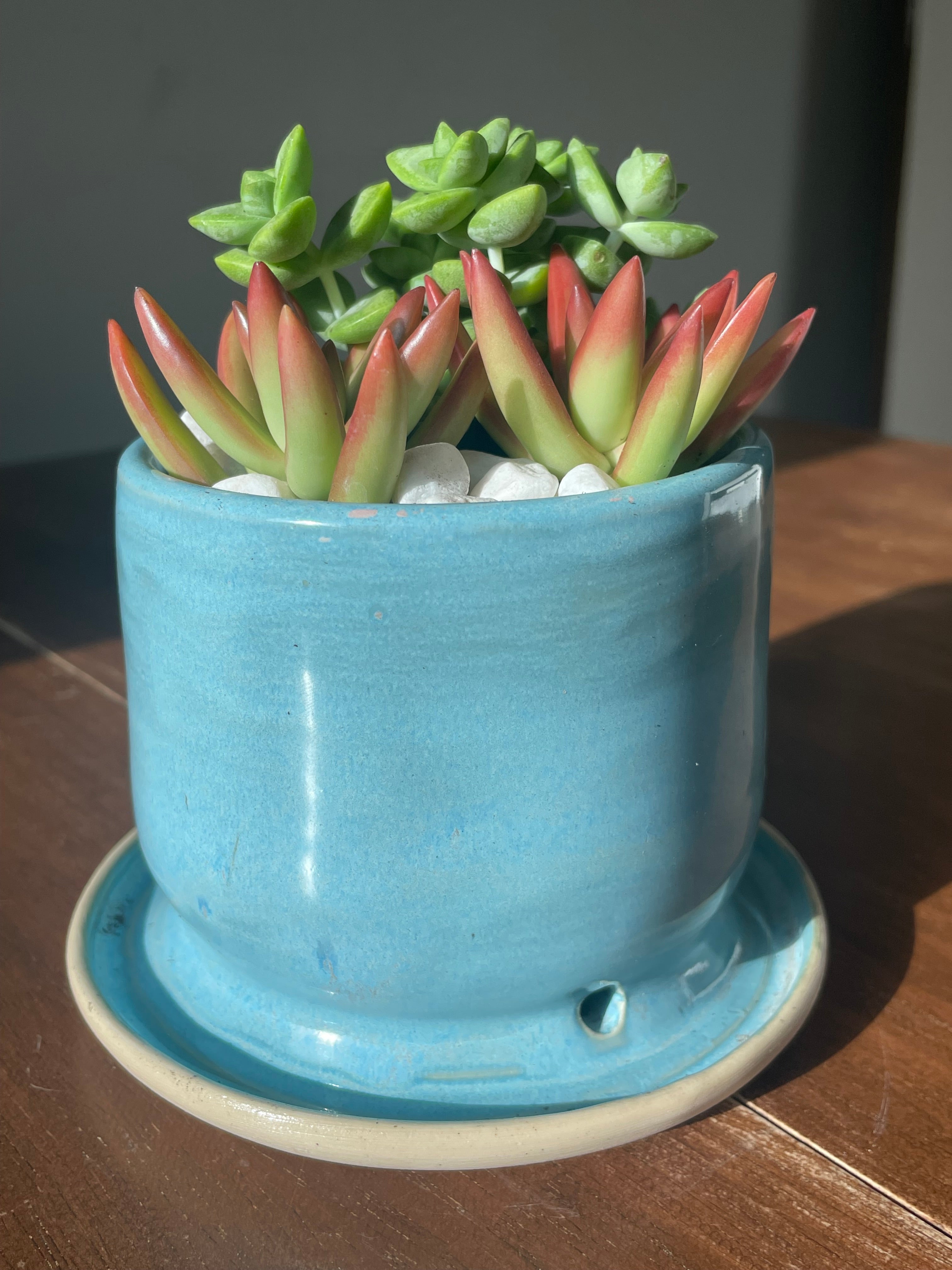 Blue Planter