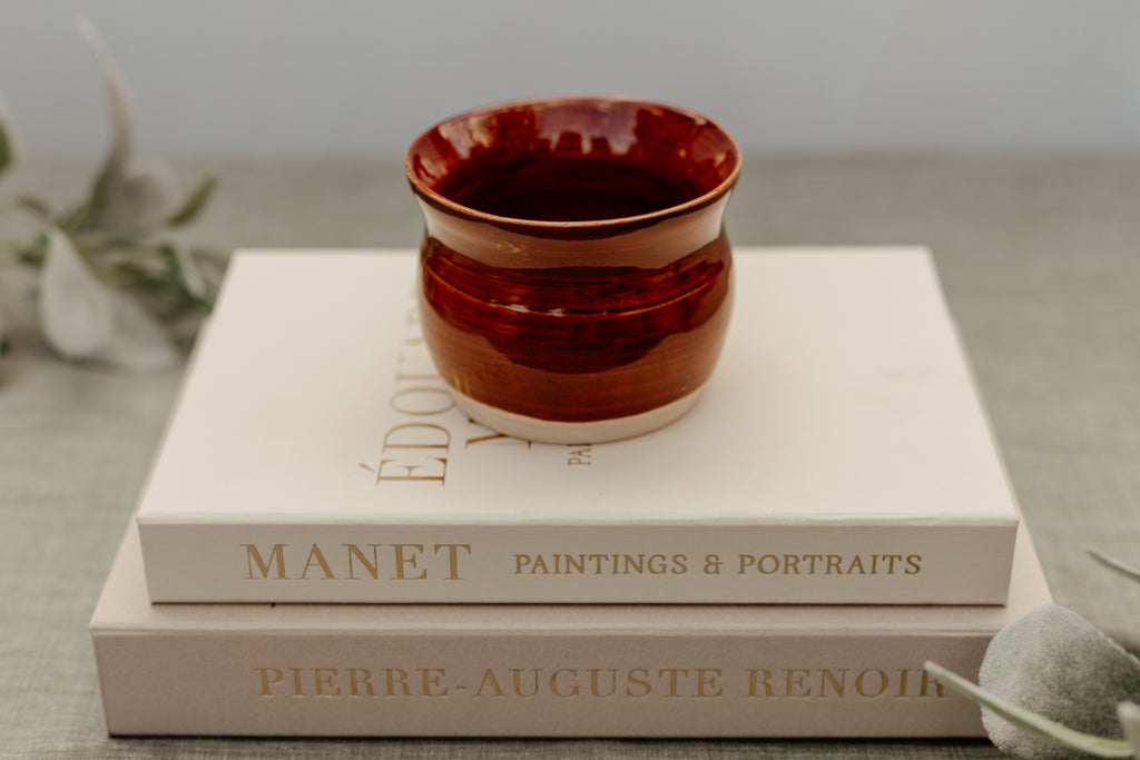 Red Succulent Pot